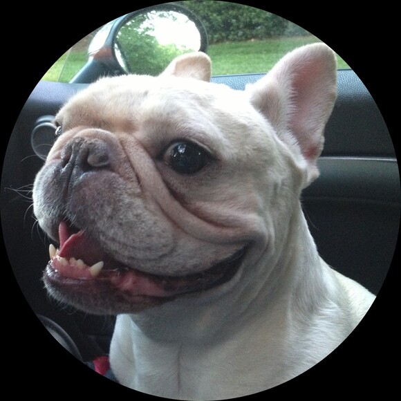 whitedogvint
